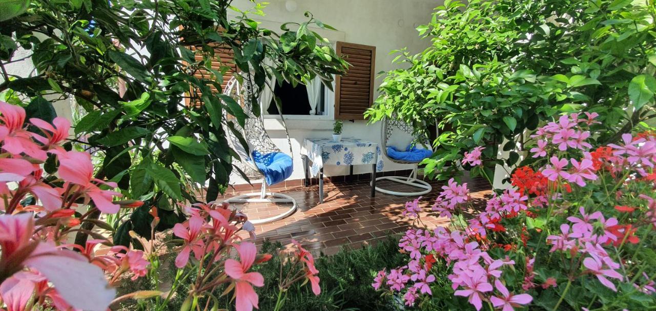 Apartamento New!!! New Riva Luxury One - With Sunny Terrace & Big Garden Poreč Exterior foto